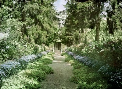 Path in Monet